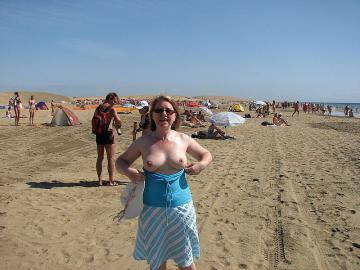 ZeeuwseMossel aus Zeeland,Niederlande