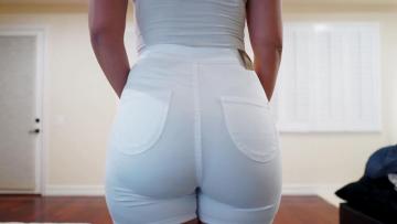 bendolopanaal aus Zuid-Holland,Niederlande